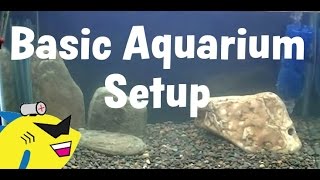 How To Set Up a Freshwater Aquarium [upl. by Nylarad]