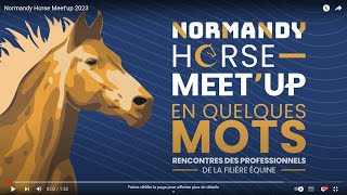 Normandy Horse Meetup 2023 [upl. by Kra129]