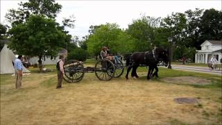 Percheron Horses Pulling the Union Cannon  Greenfield Village [upl. by Lebaron]