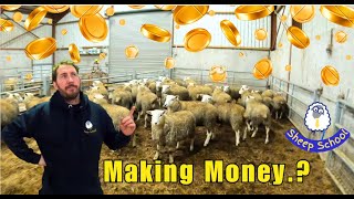 Farming Profits  More Money Per Lamb [upl. by Elata]