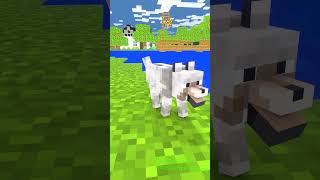 baby zombie help the dog and the end monster school minecraft shorts cutedog [upl. by Naples]