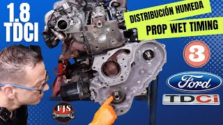 FORD 18 TDCI Focus Mondeo Transit CMax Tutorial correas de distribución y Pérdida de Aceite [upl. by Onil]