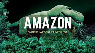 Amazon is The Worlds Largest Tropical Rainforest  Jungle Amazon  info amp Facts [upl. by Anelis]