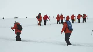 Hike with Penguins  Antarctica  Lindblad Expeditions [upl. by Relyat]