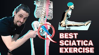 How to do Sciatica Nerve Flossing  Sciatica Exercise [upl. by Ariek]