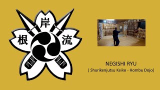 SHURIKENJUTSU KEIKO at Negishi Ryu Japan Headquarters [upl. by Ulyram]