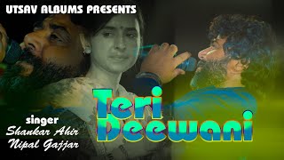 Teri Deewani ll Shankar Ahir ft Nippal Gajjar ll Vijay Dhokavada ll Ahir Na Lagan ll Utsav Albums [upl. by Ailehc]