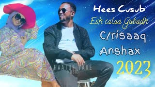 CABDIRISAAQ ANSHAX  HEES CUSUB  ESH CALAA GABADH OFFICIAL MUSIC LYRICS 2023 [upl. by Ned]