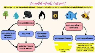 Le capital naturel amp la soutenabilité de la croissance faible et forte  1 notion en 2 minutes [upl. by Einapets]