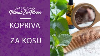 KOPRIVA za KOSU  RECEPTI  Minut za Mene [upl. by Etteyafal]