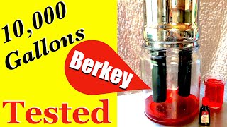 LOW COST WATER FILTER  GRAVITY WATER FILTER Review  BERKEY WATER FILTER RED DYE TEST [upl. by Eseret]