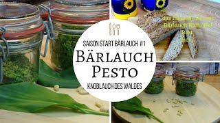 BÄRLAUCH PESTO  Saisonstart Knoblauch des Waldes DIY frischer Brotaufstrich [upl. by Kurth]