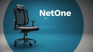 NetOne By Ergotherapy Solutions [upl. by Deth]