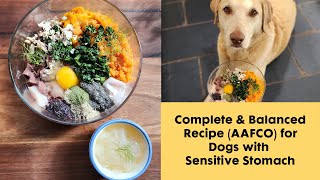 Complete amp Balanced Dog Food Recipe AAFCO for Dogs with Sensitive Stomach [upl. by Doig]