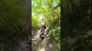 Following Den Beautiful forest Steep climb Electric unicycle euc monoenduro enduro trail [upl. by Publus200]