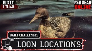 Loon Locations RDR2 Red Dead Online Daily Challenges [upl. by Ealasaid502]