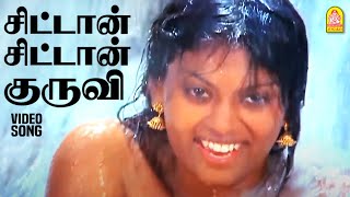 Chittan Chittang  HD Video Song  சிட்டான் சிட்டான் குருவி  Kavalan Avan Kovalan  Prabhu  Rekha [upl. by Atsirc696]