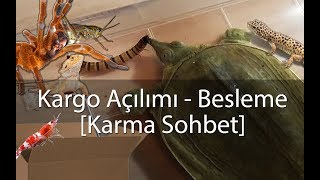 Paket Açılımı  Besleme VLOG  Agresif Kaplumbağa  Karidesler  Akrep vs [upl. by Adyam269]