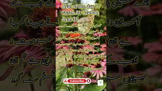 Ayat of the day 77  Surah AtTawbah Ayat 36 shorts shortvideo shortfeeds tilawatbeautifulvoice [upl. by Ecertap]