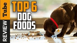 ✅Dog Food Best Dog Food Buying Guide [upl. by Retsevlis]