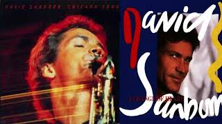 In Remembrance of DAVID SANBORN  CHICAGO SONG  1987 [upl. by Huldah]