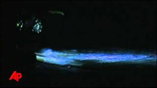 Raw Video Tsunami Waves Reach Hawaii [upl. by Lilllie433]