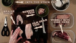 How to gut and break down ducks geese and other large gamebirds [upl. by Kcirnek]