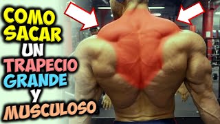 Como DESARROLLAR O Sacar ✔ Un TRAPECIO Grande Y Musculoso  Gana MASA MUSCULAR 👉 En La ESPALDA [upl. by Rustice]