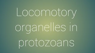 Locomotory organelles in protozoans [upl. by Eelarual]