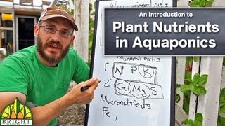 How to Manage Plant Nutrients in Aquaponics [upl. by Assilat]