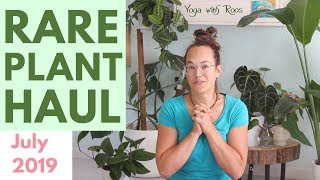 Rare Plant Haul amp house plants update  July 2019  Yoga with Roos [upl. by Ruhtra]