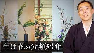 徹底解説！生け花の種類・分類をご紹介します【Ikebana】華道家 宮本理城の生け花レッスン [upl. by Yasdnyl126]