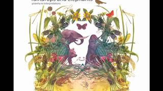 dunkelbunt Raindrops amp Elephants Full Album [upl. by Pang763]