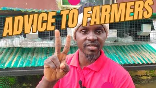 Challenges of rabbit farming Farming in Nigeria scentfarms [upl. by Kisor]