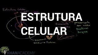 Estrutura Celular  Biologia  Khan Academy [upl. by Shieh]