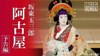 シネマ歌舞伎『阿古屋』予告編 [upl. by Heins]