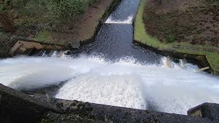 dam overflowing reservoir walk 2023 [upl. by Aplihs]