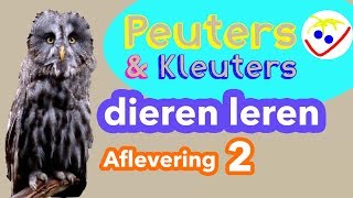 Dierennamen  Eerste Woordjes  Dieren Leren Aflevering 2 Peuters en Kleuters [upl. by Nogaem]