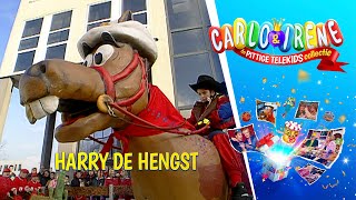 Harry de Hengst  Carlo amp Irene de Pittige Telekids Collectie [upl. by Tabitha944]