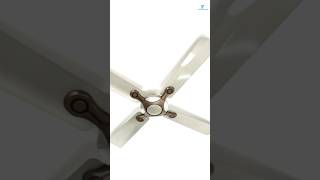 Havells Leganza Ceiling Fan  Best Ceiling Fan India 2024 shorts fan ceilingfan homeappliances [upl. by White]