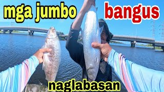 Sigawan sila sa naglundagang mga jumbo na isdaNag labasan ang mga bangus sa lagusancatch and Cook [upl. by Nrevel]