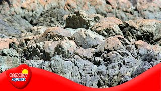 Rock and the Rock Cycle  More Grades 912 Science on the Learning Videos Channel [upl. by Almire]