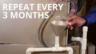 How to Clean Your AC Condensate Drain Line [upl. by Appolonia]