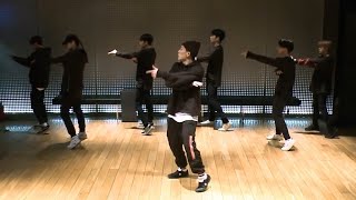 iKON  LOVE SCENARIO Dance Practice Mirrored [upl. by Nnaarat]