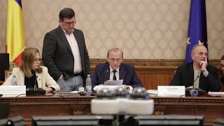 Noua Lege a pensiilor dezbătută în comisiile de la Senat [upl. by Htebsle612]