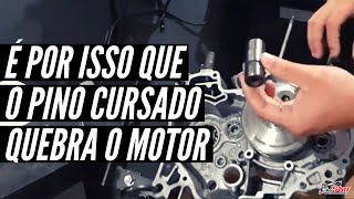 Por esse Motivo que Pino Cursado Quebra Motor I Star Preparações [upl. by Chamberlin239]