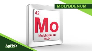 Molybdenum 1083 Air Date 1619 [upl. by Voleta]