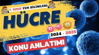 Hücre Konu Anlatımı 🧫  7 Sınıf Fen Bilimleri 2 Ünite [upl. by Sanborn]