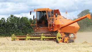 Dronningborg D2600 V8 Perkins Combine Harvesting Barley  Harvest Season 2023 [upl. by Mahala]