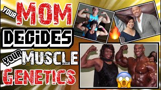 YOUR MOM DECIDES HOW MUCH MUSCLE YOU CAN BUILD TESTOSTERONE ANDROGEN RECEPTOR amp GENETICS EXPLAINED [upl. by Vanni36]